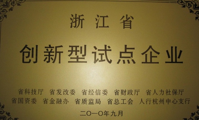 創(chuàng)新型試點(diǎn)企業(yè)